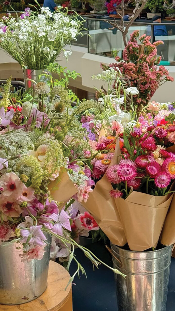 Southern California Spring Garden Show