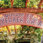 Wayfarer Bread