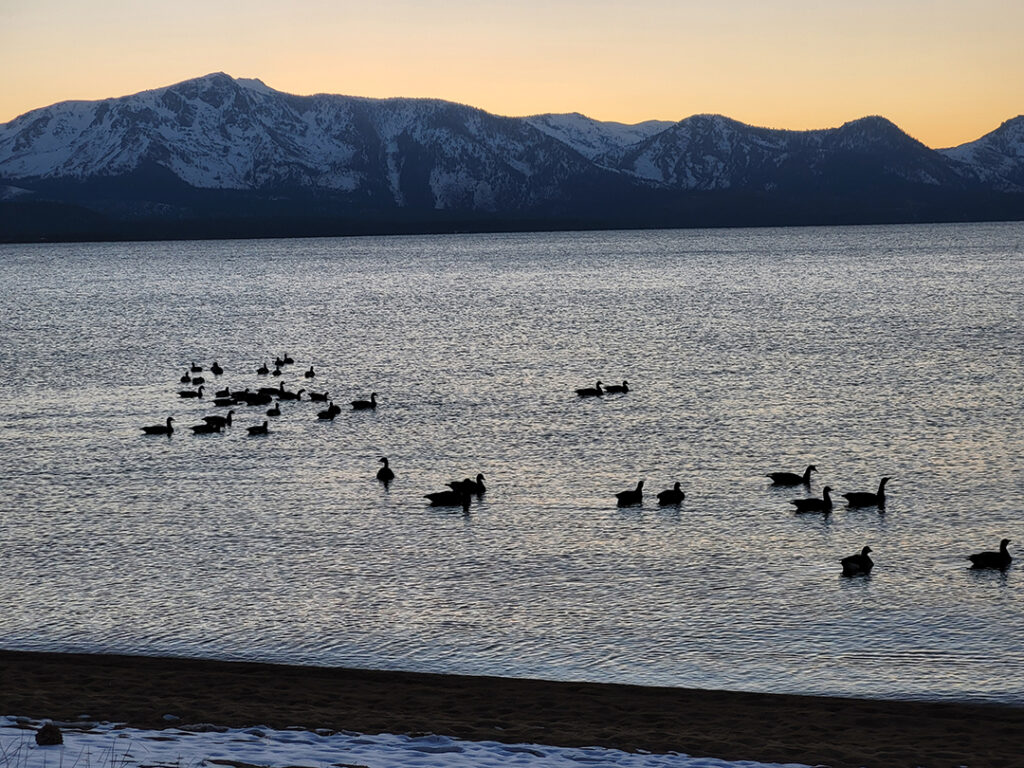 Lake Tahoe is the largest high-altitude lake in North America and the second deepest in the United States