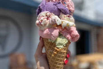 Scoop San Diego Ice Cream Festival