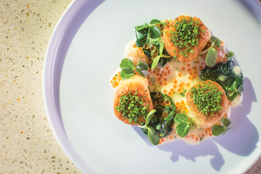 Seared Bristol Scallops