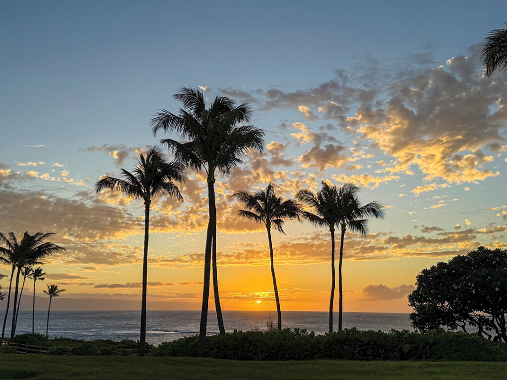 Swaying palm trees dot the grounds of the beautiful Montage Kapalua Bay