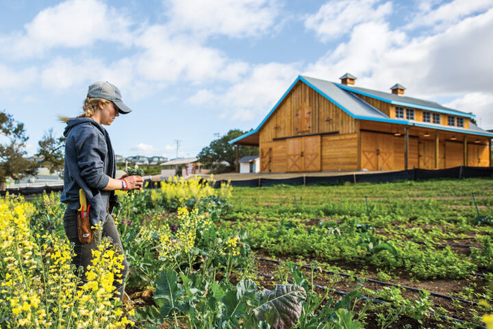 Coastal Roots Farm