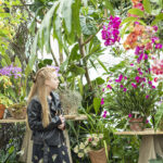 San Diego Botanic Garden’s World of Orchids