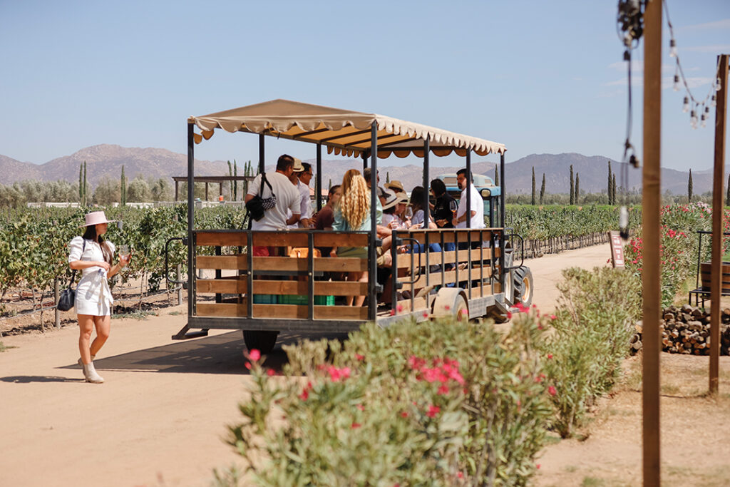 Hop on a wagon for tours and tastings in the vineyards