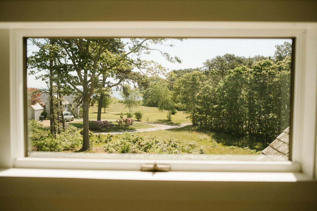 View of beautiful landscape of trees through a window from inside the house