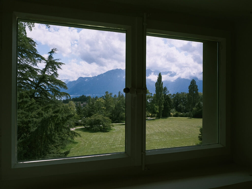 View of beautiful landscape of trees through a window from inside a dark house