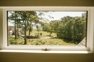 warm-toned view of beautiful landscape of trees through a window from inside the house