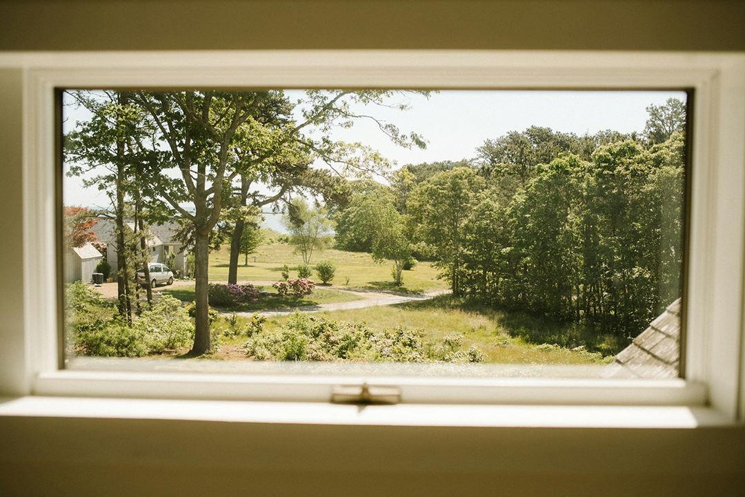 warm-toned view of beautiful landscape of trees through a window from inside the house