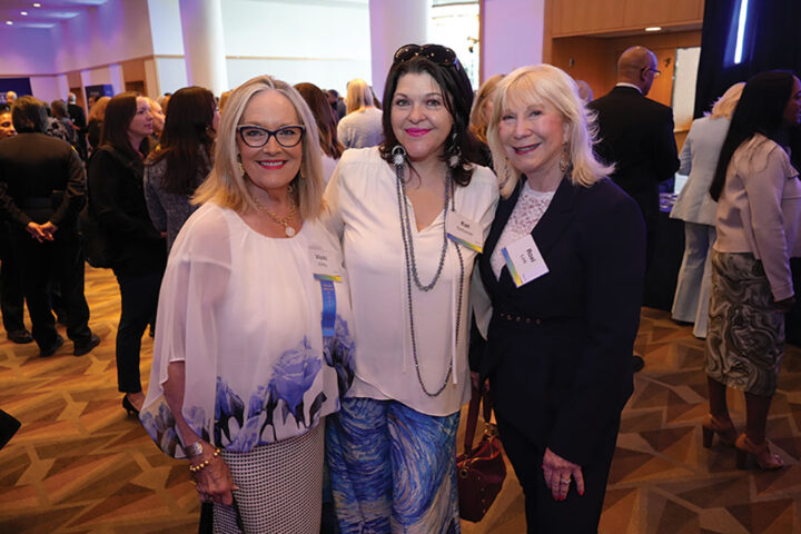 Vicki Eddy, Kat Ochsner, and Roxi Link
