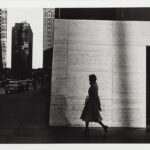 Shifting Visions: Photographs from the Collection of Ken and Jacki Widder