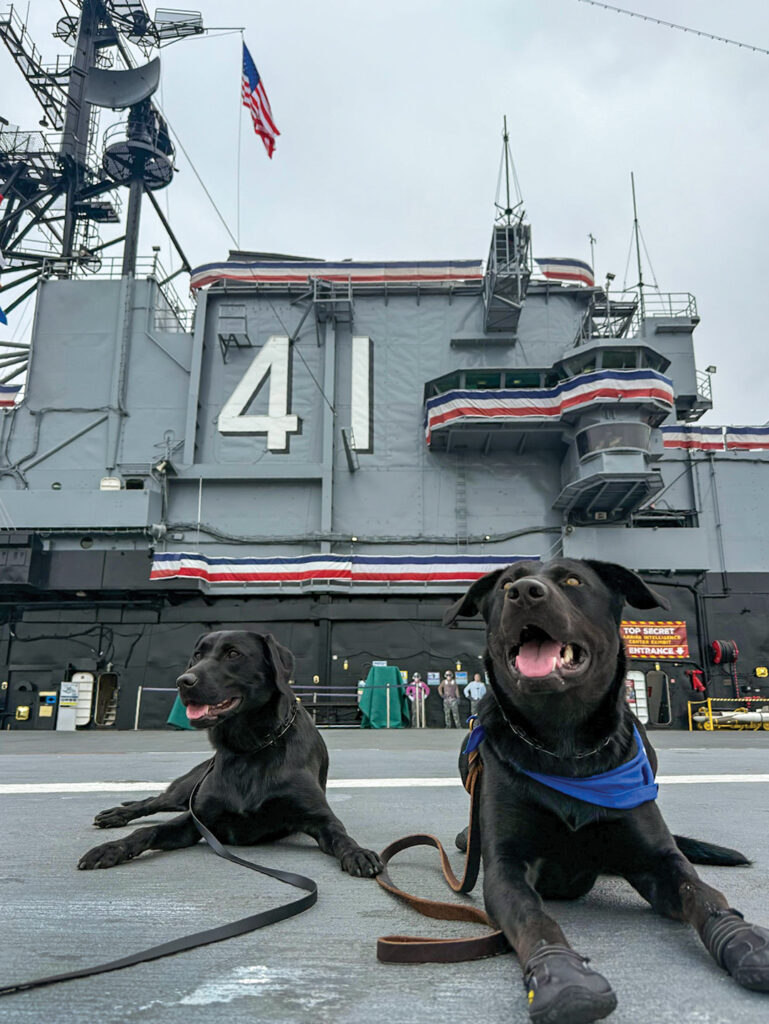 Shelter to Soldier Morale Dogs in training, Lady and Raider, on the USS Midway where they train weekly in preparation for life on the ship