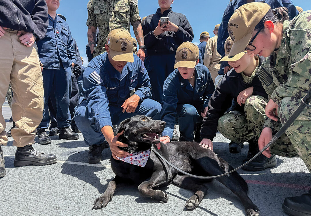 STS Morale Dog Raider sparks joy through his engagement with the crew aboard the USS Makin Island during a morale visit, preparing for his deployment