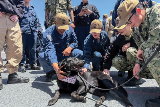 STS Morale Dog Raider sparks joy through his engagement with the crew aboard the USS Makin Island during a morale visit, preparing for his deployment
