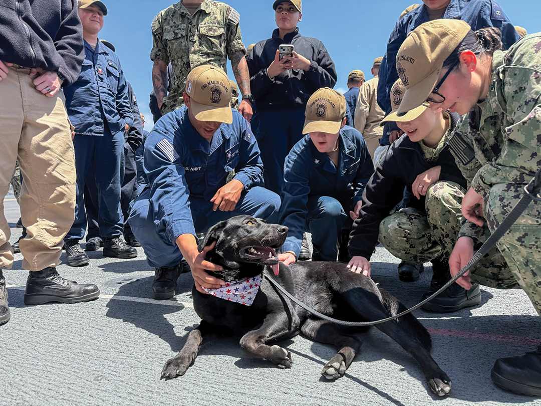 STS Morale Dog Raider sparks joy through his engagement with the crew aboard the USS Makin Island during a morale visit, preparing for his deployment