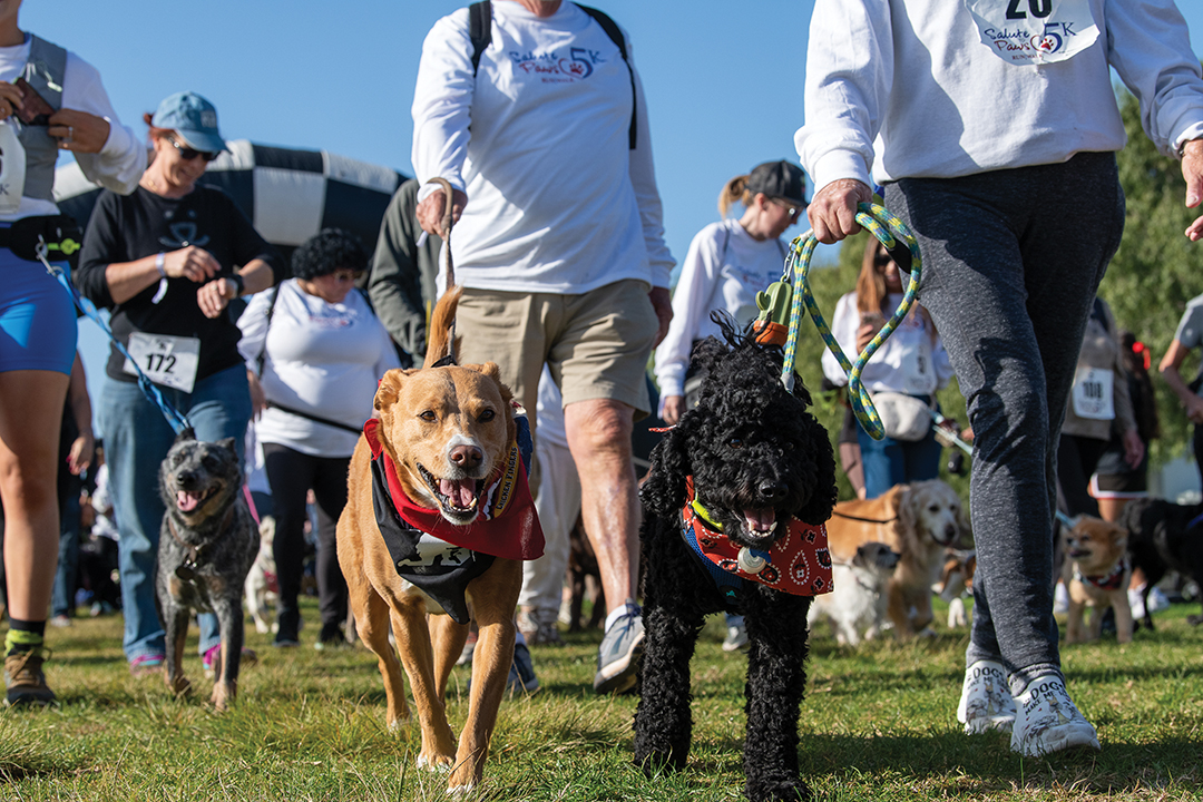 2nd Annual Salute to Paws 5K & Gratitude Festival for Dogs