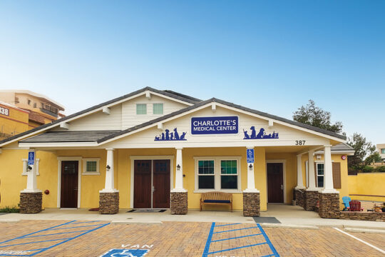 Readers’ Choice, Pet Adoption Organization: Rancho Coastal Humane Society For more than 64 years, Rancho Coastal Humane Society has been a leader in animal welfare in San Diego County. From its humble beginnings in converted cottages, RCHS has grown into a state-of-the-art campus featuring Charlotte’s Medical Center, Vivian’s Learning Center, FOCAS Adoption Center, and a Community Pet Food Pantry, offering adoptions, veterinary care, and vital programs including the Animal Safehouse Program, Pet-Assisted Therapy, and Pet Loss Support. As part of the San Diego Animal Welfare Coalition, RCHS ensures no healthy, treatable animal is ever euthanized for time or space.