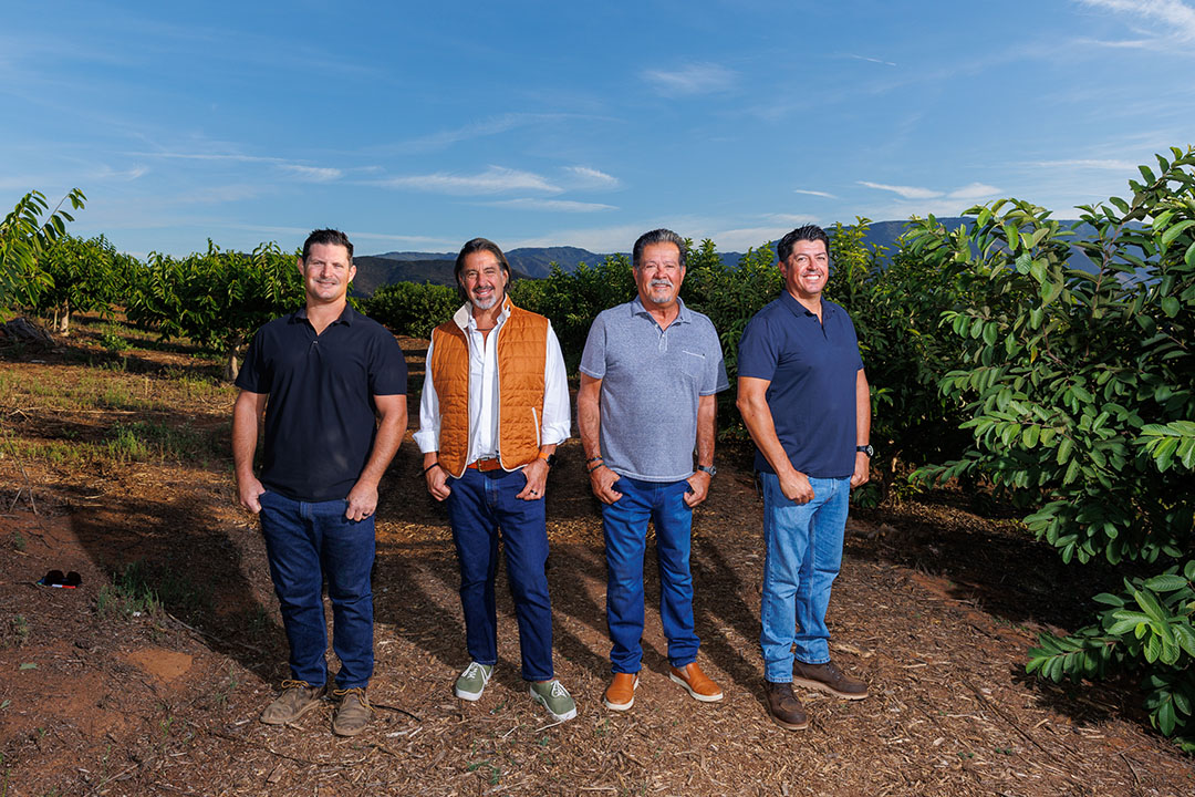 Cal Flavor Guavas Arrive