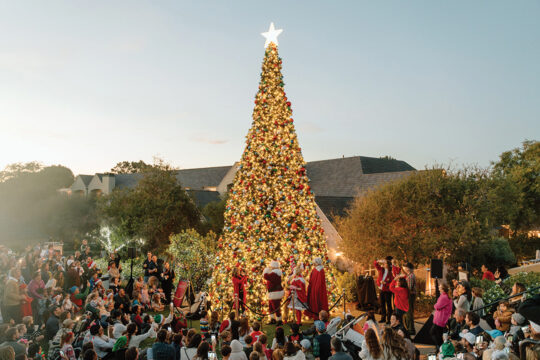 Del Mar Village Winter Taste & Sip