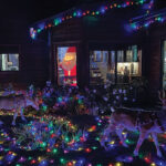 Christmas with the Animals at Lions Tigers & Bears