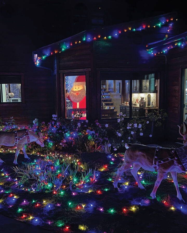 Christmas with the Animals at Lions Tigers & Bears