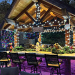 Christmas with the Animals at Lions Tigers & Bears