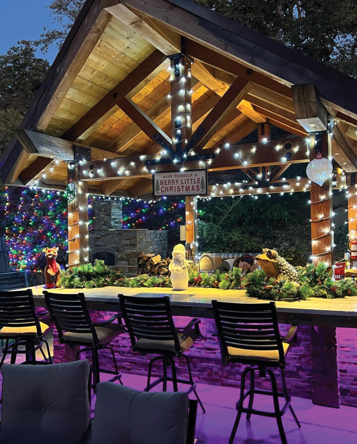 Christmas with the Animals at Lions Tigers & Bears