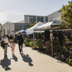 Winter MKT at the The Museum of Contemporary Art San Diego (MCASD)