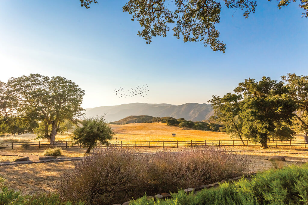 C4 Foundation’s 
C4 Ranch in Santa Ysabel