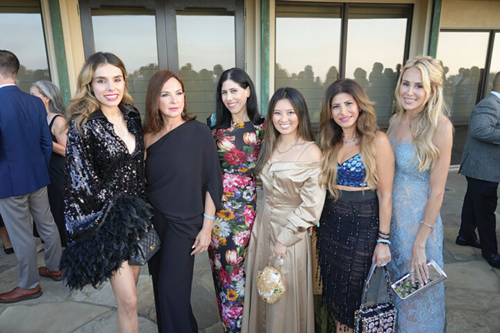 Sanaz Nozari, Ana Boesky, Ladan Mortazavi, Janet Chao, Marjan Mortazavi, and Heidi Dixon