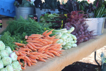 Tu B’Shvat Food Forest Festival