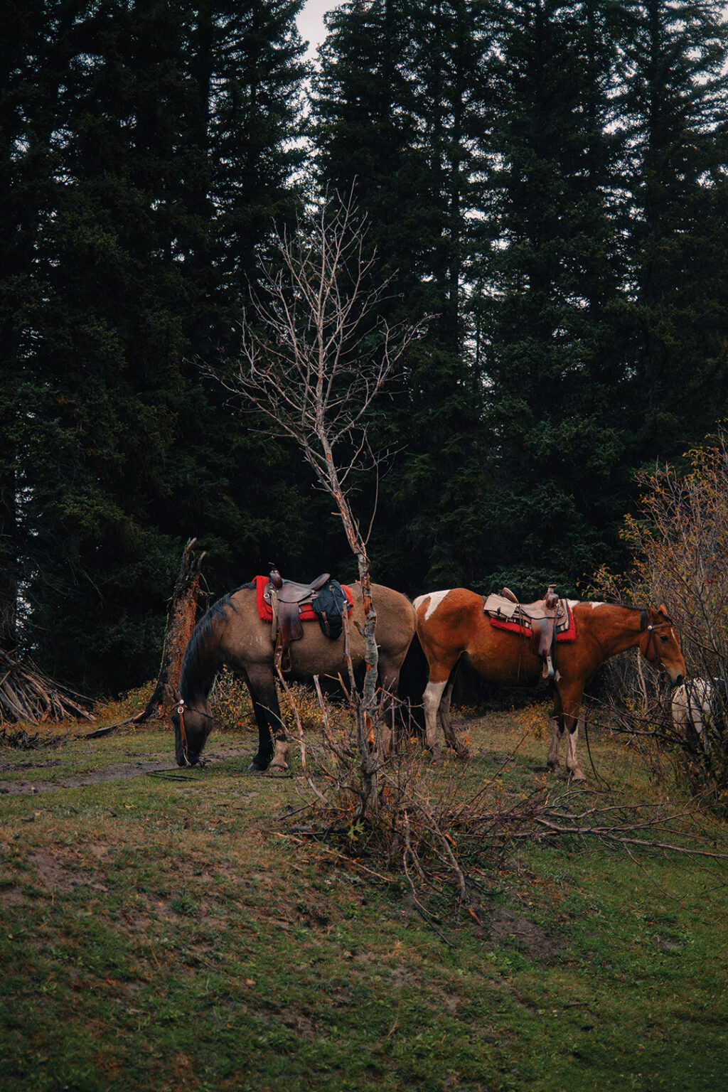 A century at Triangle X Ranch — Ranch & Coast Magazine