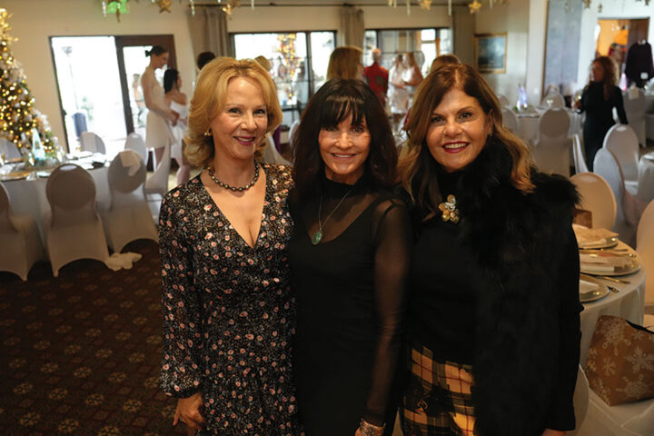 Mary Minore, Jan Bodin, and Randa Dandan