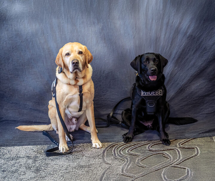 K9 Lyle Hope and K9 Phoebe Zorra