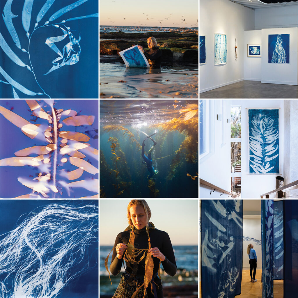 Original artwork by Oriana Poindexter; installation views in Laguna Beach, Encinitas, and the Catalina Museum for Art & History; center top and bottom photos by Heidi Zumbrun, center photo by Chelsea Mayer