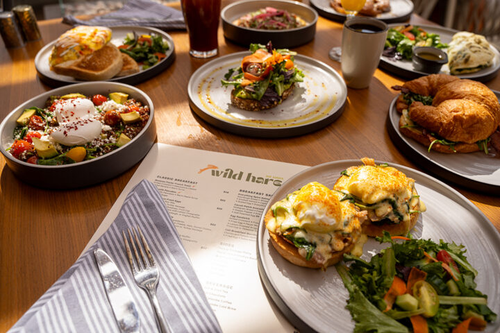 Wild Hare Bar Garden, Hilton San Diego Gaslamp Quarter