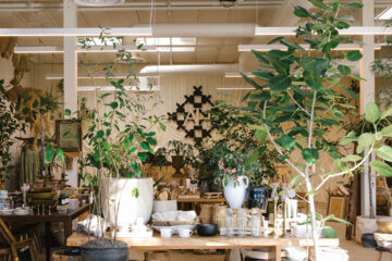 Everyone loves Apostrophe: The new store in Encinitas