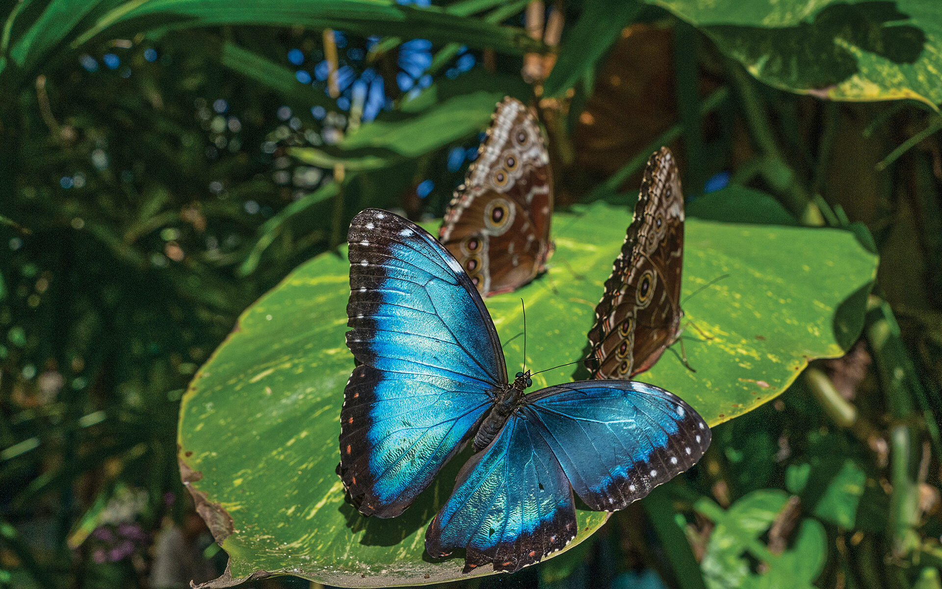 New, Now, Next: April 2026 Edition