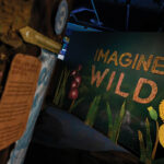 Imagine Wild: Mountain Yellow-legged Frog