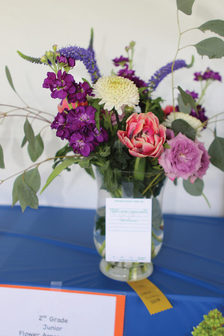 Coronado Flower Show