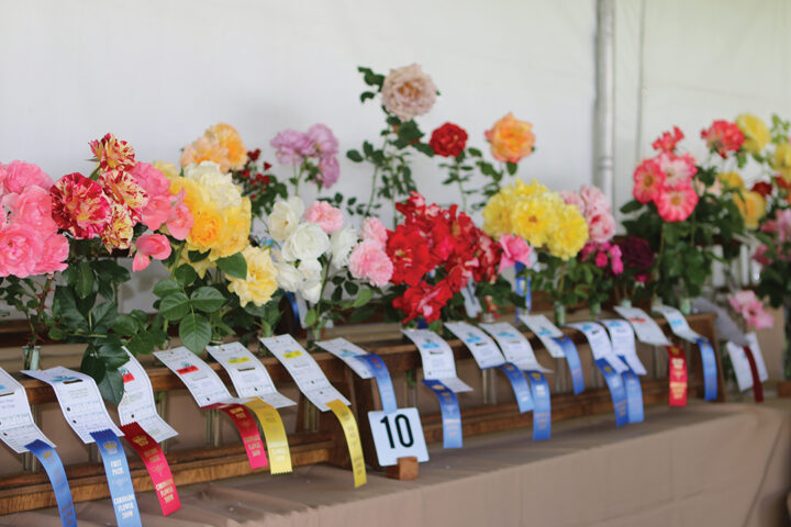 Coronado Flower Show