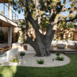“We wanted the home to feel warm and expressive, a little elevated, but still entirely livable and most importantly, true to her,” says Garrison. Homeowner Liliana Lovell, founder of Coyote Ugly Hospitality Group, fell in love with the La Jolla Village home, in large part drawn to the enormous backyard tree.