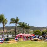 Lakehouse Resort’s Independence Day Carnival,
