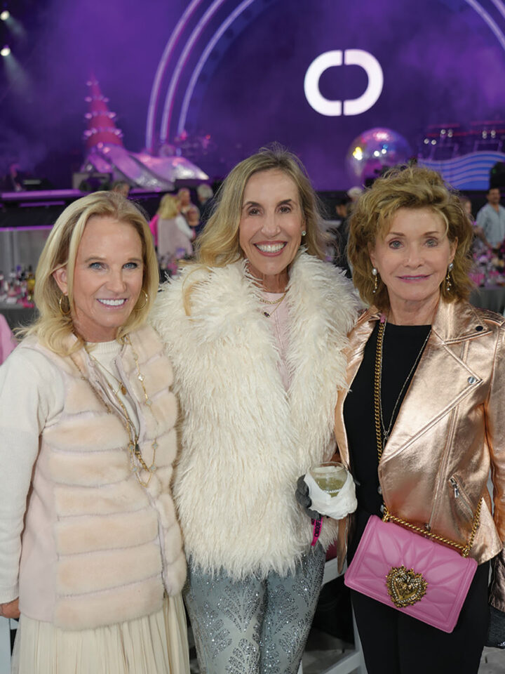 Cathy Geier, Katherine Chapin, and Susan Hoehn