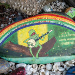 ENCINITAS, CA- JULY 15: General views of Dave’s Rock Garden on July 19, 2026 in Encinitas, California.( Photo by Donald Miralle for Ranch and Coast)