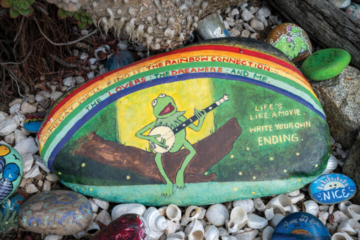 ENCINITAS, CA- JULY 15: General views of Dave’s Rock Garden on July 19, 2026 in Encinitas, California.( Photo by Donald Miralle for Ranch and Coast)
