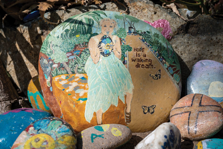 ENCINITAS, CA- JULY 15: General views of Dave’s Rock Garden on July 19, 2026 in Encinitas, California.( Photo by Donald Miralle for Ranch and Coast)