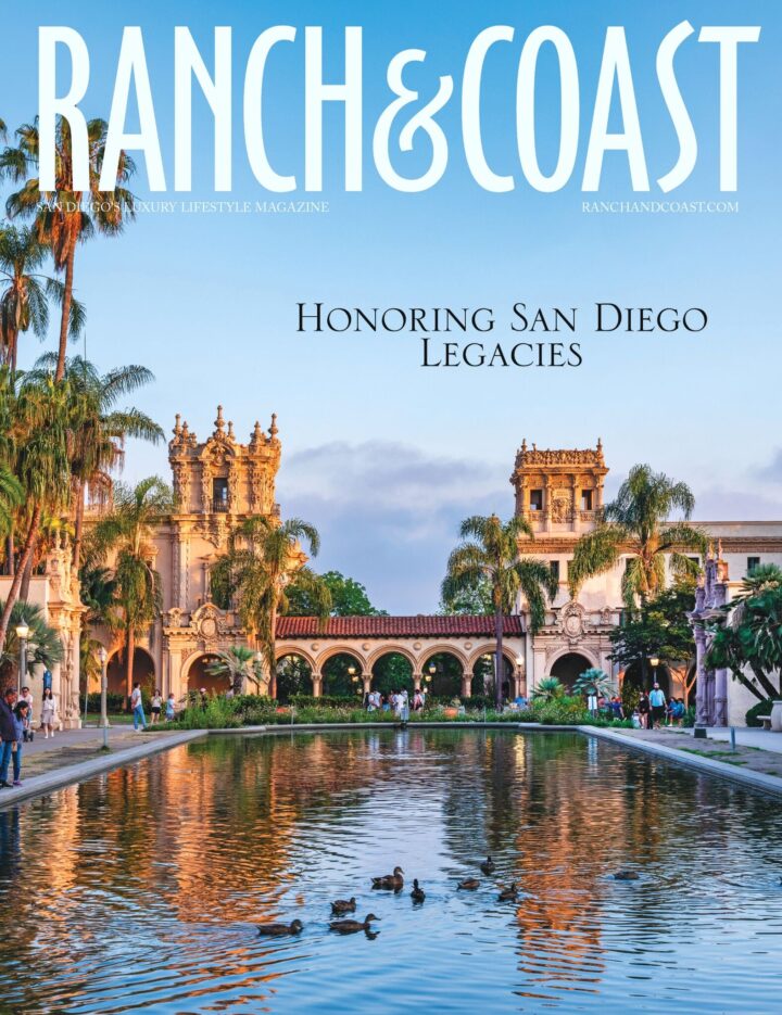 Cover image for November 2025